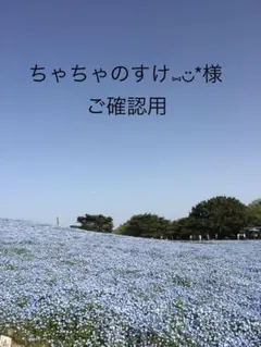 확인을 위해 차차노스케 씨 ︎