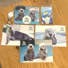 2025年最新】鳥羽水族館 70周年の人気アイテム - メルカリ