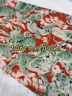 圧倒的存在感！アロハシャツ姿の大型トラ着ぐるみ 圧倒的存在感！アロハシャツ姿の大型トラ着ぐるみ - メルカリ