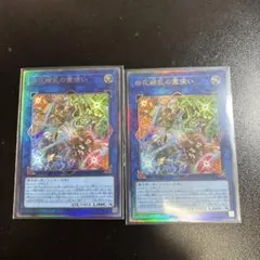 四花繚乱の霊使い レリーフ2枚セット