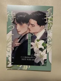 拈華を待っていた 吾瀬わぎもこ アニメイト特典リーフレット