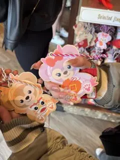 香港ディズニー　ダッフィー・シェリーメイ