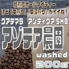 自家焙煎 コーヒー豆　グアテマラ　アンティグアSHB　アゾテア農園　200gのサムネイル