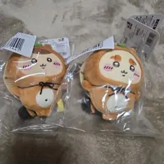 たぬきだもんくじ　C賞　シーサー&くりまんじゅうセット