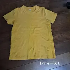 Item thumbnail for item ec07825c-ea51-4bed-9fd8-73e5aa7cfbcf