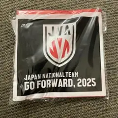 男子バレー　壮行試合　スティックバルーン