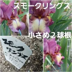 ミニーマウス5様 リクエスト 3点 まとめ商品