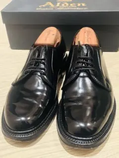 2026年最新】Alden コードバン プレーントゥの人気アイテム
