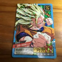 希少　レア　ドラゴンボール カードダス ダブル　キラ　剥がし済みNo.573