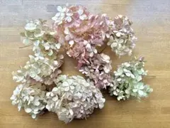 Item thumbnail for item c3cd966f-4b74-4cb1-8239-03b0b31df014