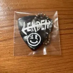 2026年最新】superbeaver ピックの人気アイテム - メルカリ