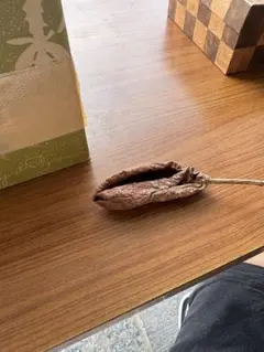 Item thumbnail for item e09b4bb8-b3ad-4a87-8607-0d2e3c686c42