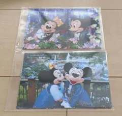 東京ディズニーセレブレーションホテル　ウィッシュ　ディスカバー　ポストカード