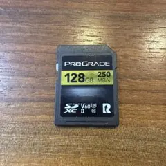 ProGrade SDXC UHS-IIV60 128GBSDカード おまけ付き - メルカリ