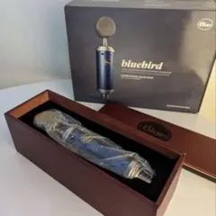 Item thumbnail for item 2bb87fec-bcc3-4ac5-8144-b1339f21f26b