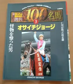 2025年最新】名馬 GALLOP 100の人気アイテム - メルカリ