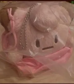 ピッピ 巾着入りマスコット e賞 ポケモン 一番くじ