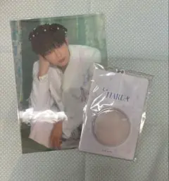 &TEAM CAFE カフェ HARUA ハルア 缶バッジケース ポスター