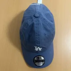 ぶぅ様専用