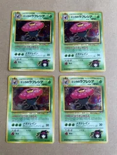 エリカのラフレシア ★ ジム拡張第1弾 リーダーズスタジアムのサムネイル