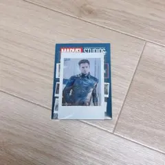 【コミコン限定】フォトカードコレクション バッキー・バーンズ 10種コンプ 2025年最新】バッキー フォトカードの人気アイテム - メルカリ