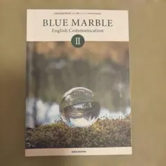 BLUE MARBLE English Communication II