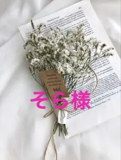 そら様専用ページです