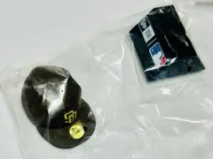 Item thumbnail for item b83676b1-bb1a-408b-b01a-e572ffea1b23