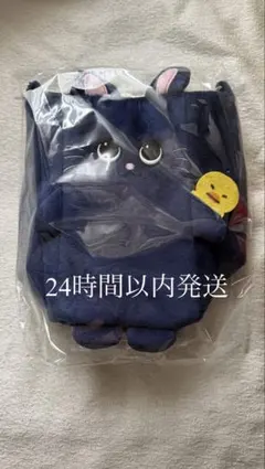 RIIZE 東京ドーム FANLIGHT グッズ ペンライトバッグ ウォンビン