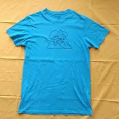 Patagonia 青 Tシャツ 波と山デザイン