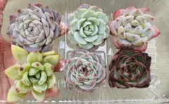 あーさん様 リクエスト 2点 まとめ商品