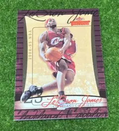 04-05 Fleer Throwbacks レブロン・ジェーム