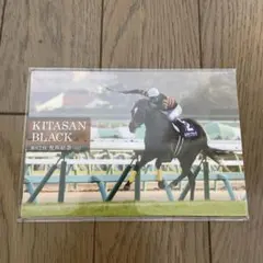 Item thumbnail for item ce6b8ac0-0583-418d-b057-687b63a3562a