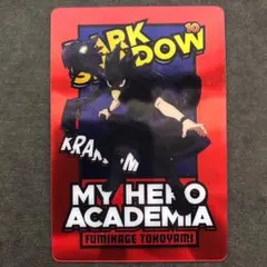 僕のヒーローアカデミア メタルカードコレクション 第１弾 常闇踏陰