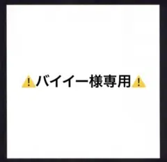 バイイー様専用