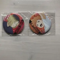 ハイキュー!! 日向翔陽 孤爪研磨 缶バッジ 2個セット