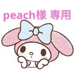 追加分☆peach様 専用ページです✨️