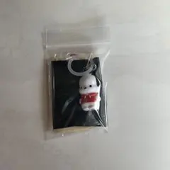 ポチャッコ　めじるしアクセサリー