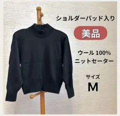 【美品】ニットセーター ブラック トップス 長袖 レディース タートル ウール