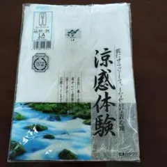 Item thumbnail for item 2fe88f4d-f6d1-4715-8867-a0c4a2b3868c