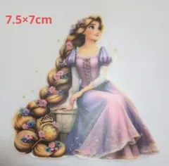 ラプンツェル★アイロン転写シート　アイロンワッペン