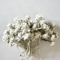 スノードロップ　**snowdrop**様 リクエスト 2点 まとめ商品