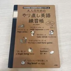 大人のためのやり直し英語練習帳 中学用英和・和英辞典の内容だけで作った
