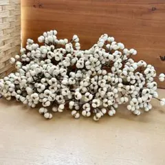 ナンキンハゼ　80本　リース　素材⑥4