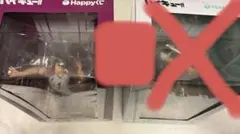 ハイキュー Happyくじ ラストワン 牛島若利