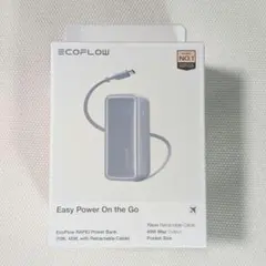 【新品】EcoFlow モバイルバッテリー RAPID 45W 10000mAhのサムネイル