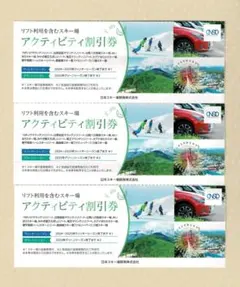 日本駐車場開発 アクティビティ割引券3枚☆スキーリフト割引券