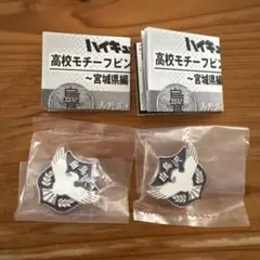 ハイキュー　高校モチーフピンバッジ