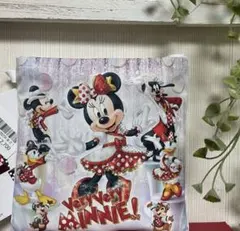 ベリーベリーミニー ショッピングバッグファンダフルディズニー会員