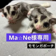 Ma⭐︎Ne様専用